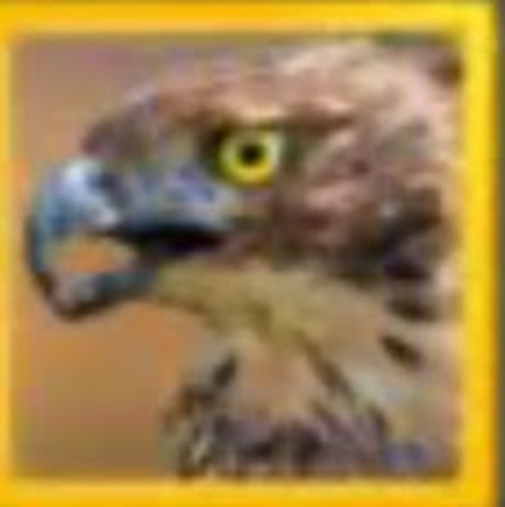 Meet your Posher, Diego